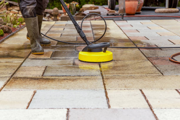 Animal Enclosure Cleaning in Fivepointville, PA